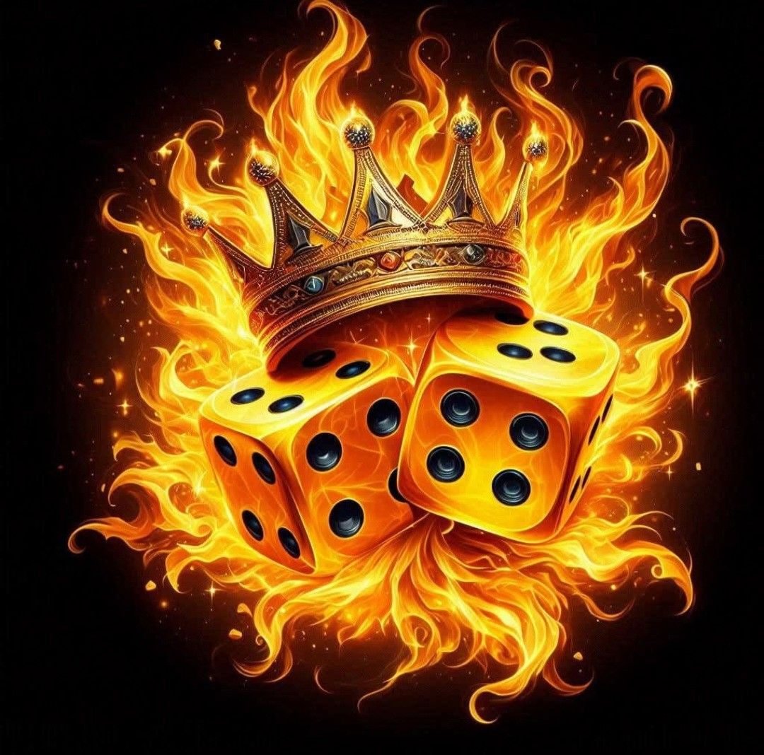 bet baji Live Casino